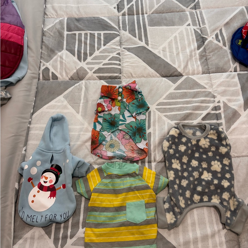 Colorful Pet Clothing Set Small